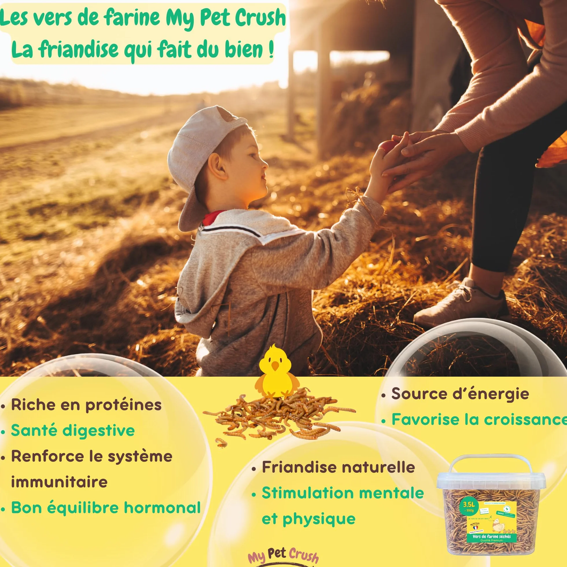 Vers de Farine Séchés 3,5L pour Poules Oiseaux Tortues Reptiles Carpes 100% Naturel Riche en Protéines