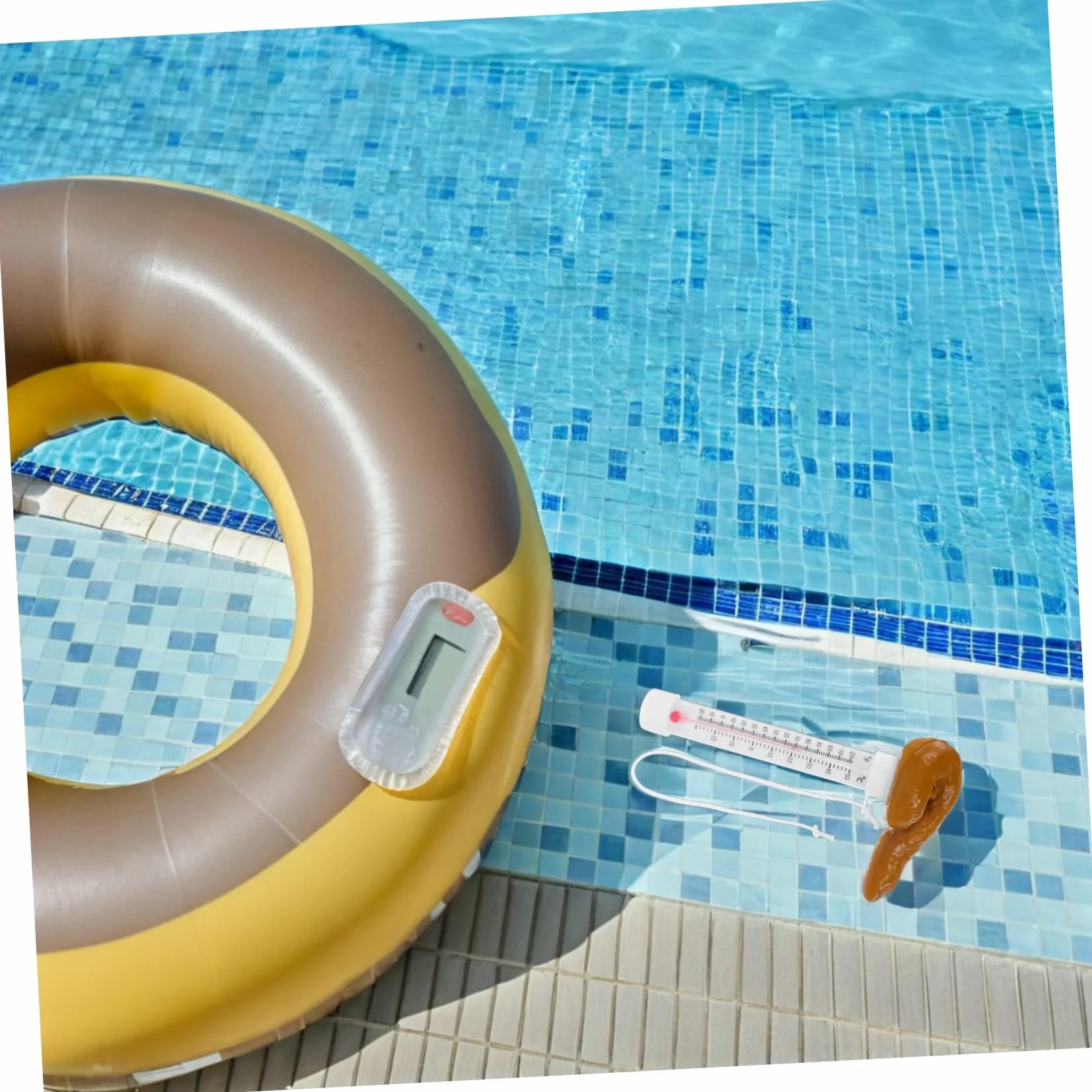 Thermomètre de Piscine Flottant avec Capteur Précis pour Spas Bains à Remous