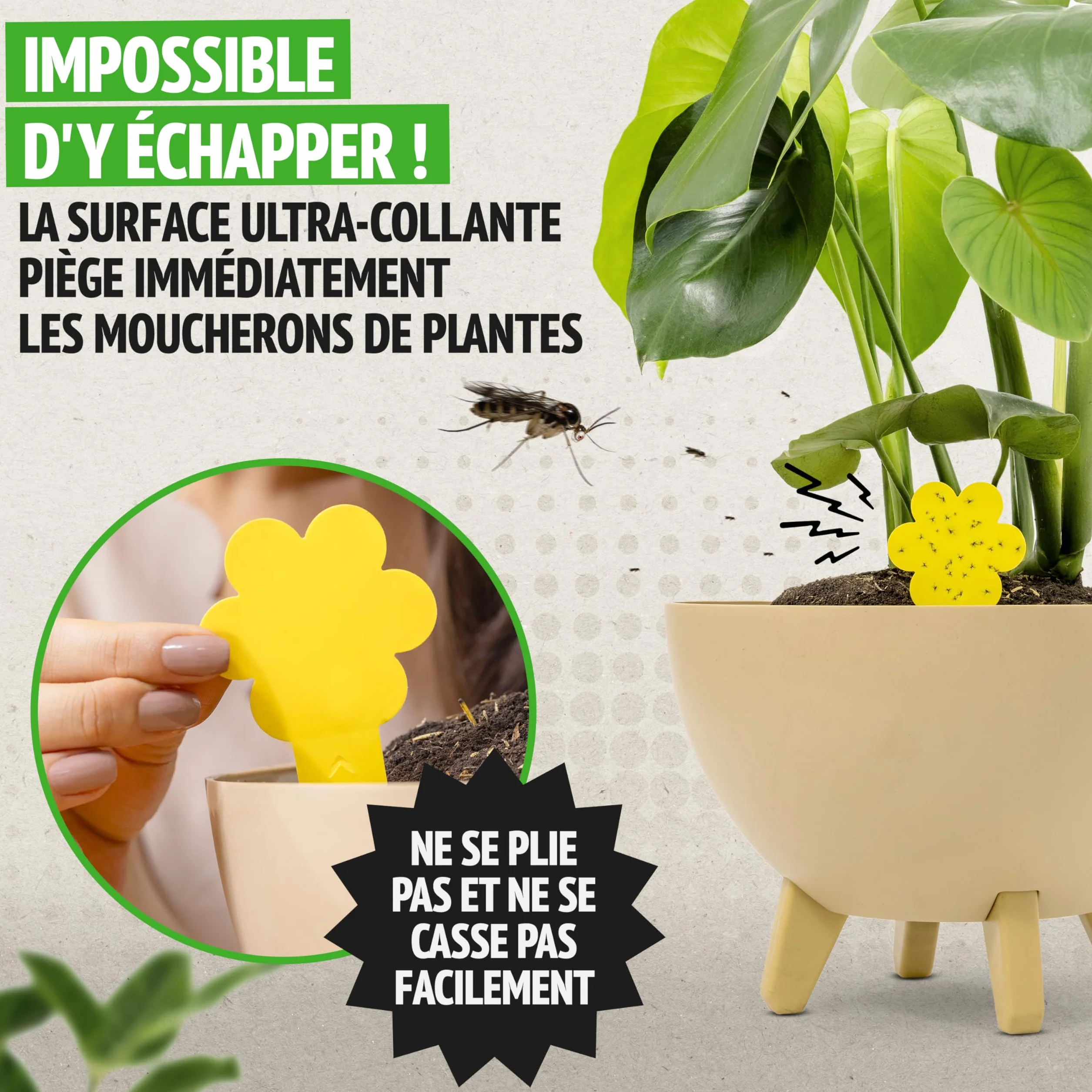 Anti Moucherons Intérieur Plantes, 10 Pièges Jaunes Collants Non Toxiques, Piège Moucherons Ultra Efficace