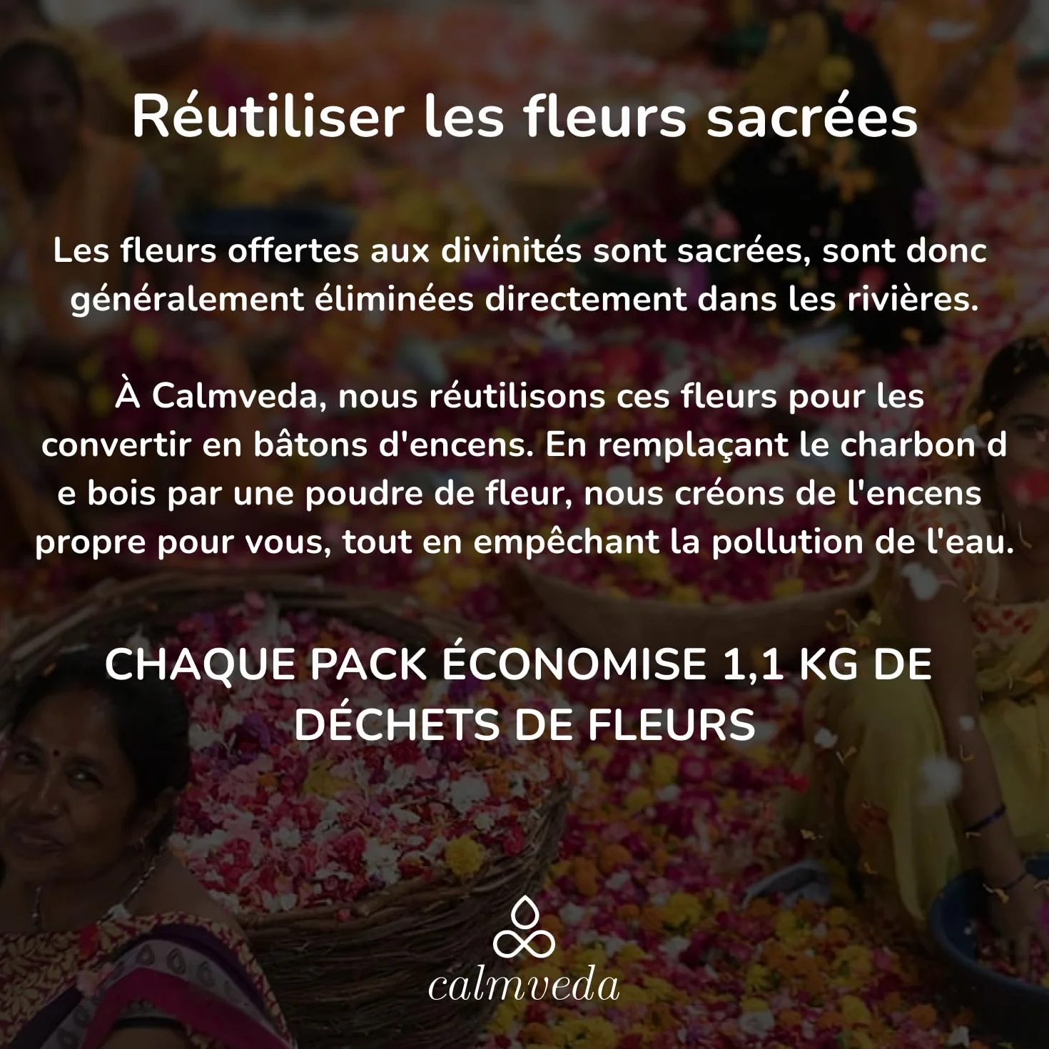 Calmveda Bâtons d'Encens à la Sauge Blanche 80 pièces pour Nettoyage – Protection Énergétique