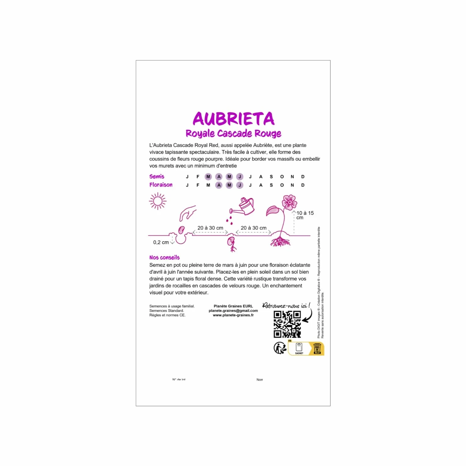 Aubrieta Cascade Royal Red - Aubriète Rouge Intense 500 graines pour Muret Rocaille