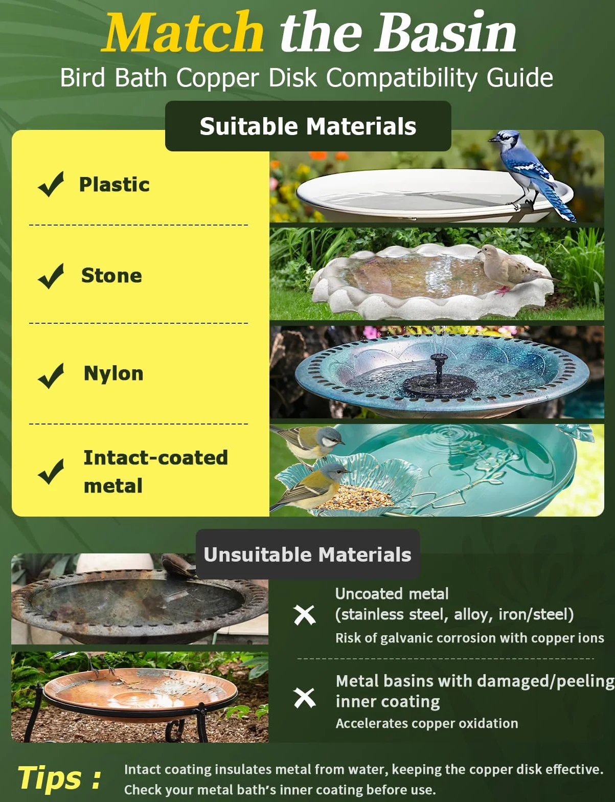 Mellbree Lot de 4 disques nettoyants pour bain d'oiseaux en cuivre pur 99,99 % 0,6 mm autonettoyants prévention des algues