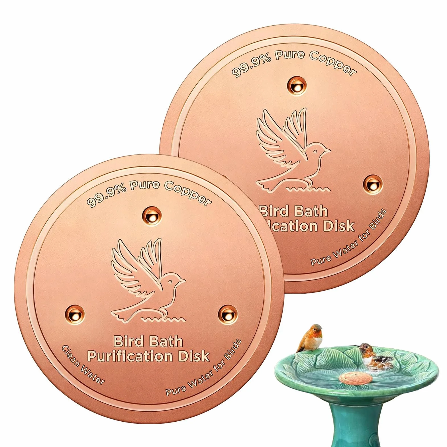 Disque à oiseaux en cuivre 20,3 cm plateau de bain résistant à la rouille fontaine accessoire