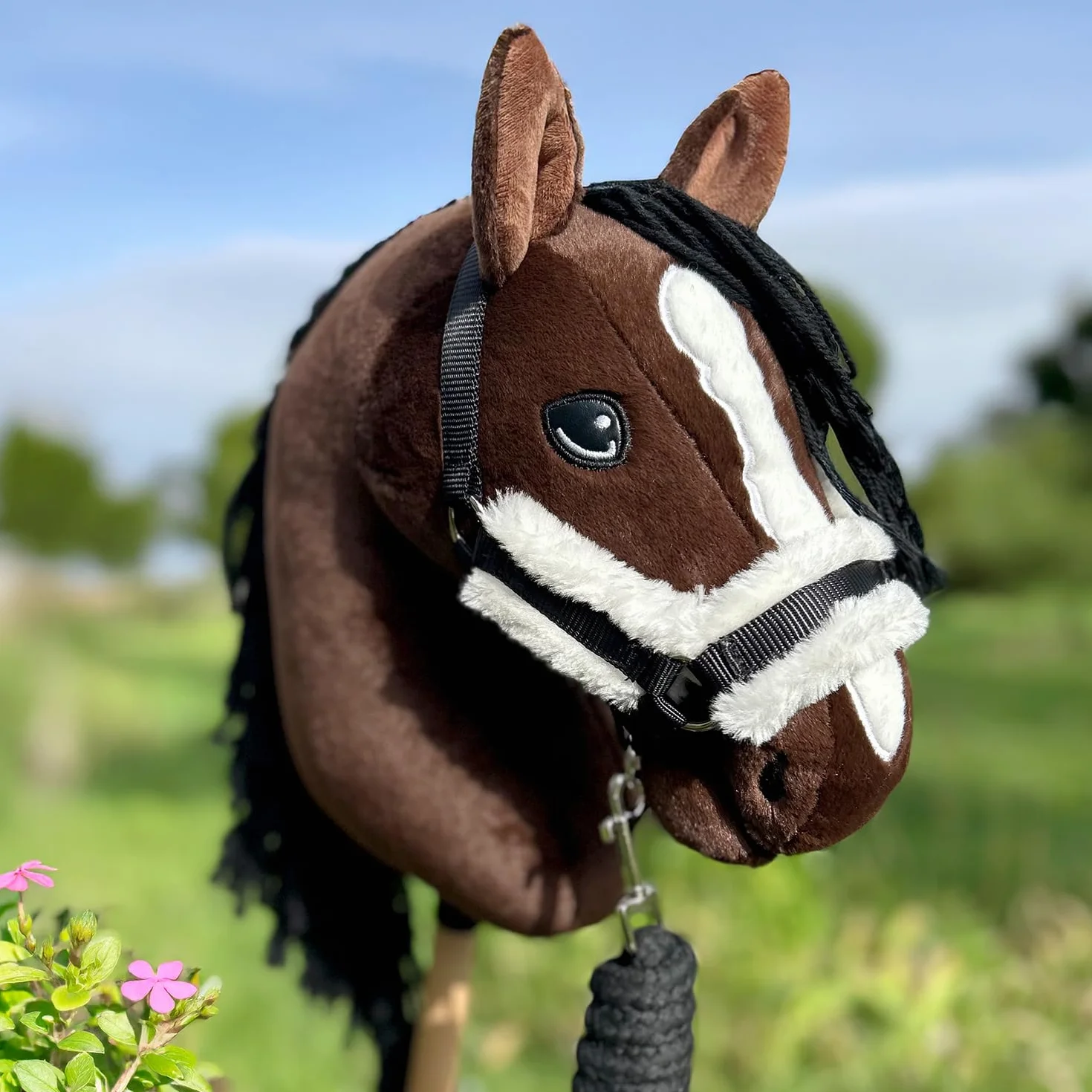Hobby Horse Ensemble d'accessoires Licol moumoute avec Longe et Bonnet Anti-Insectes - Taille A4 et A3 (Noir)