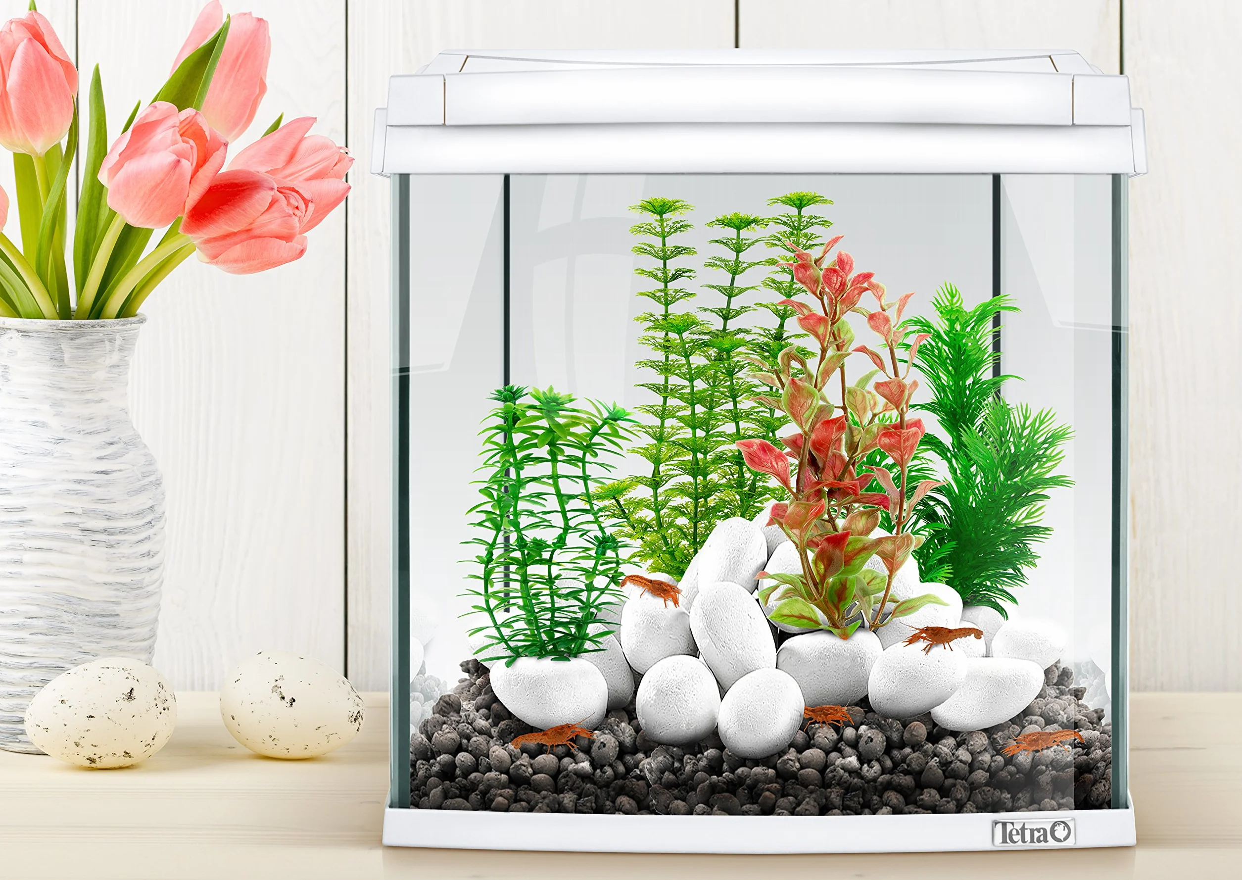 Tetra DecoArt Plantes Artificielles Aquatiques pour Aquarium Réplique réaliste Hygrophila Vert