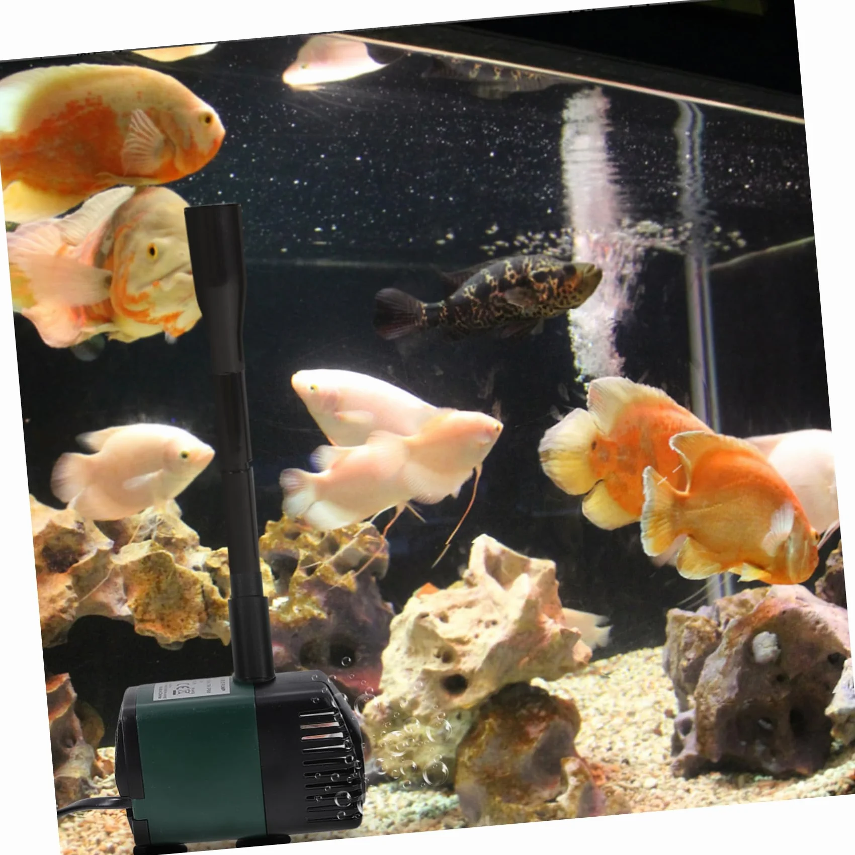 BESPORTBLE Kit Fontaine pour Étangs et Aquariums Accessoires de Fontaine Petit Étang Design ABS